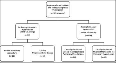 Cardiac geometry, as assessed by cardiac magnetic resonance, can differentiate subtypes of chronic thromboembolic pulmonary vascular disease